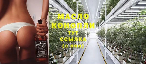 молекула духа Михайловск