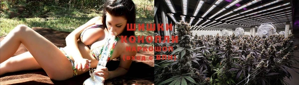 молекула духа Михайловск