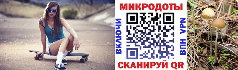 купить закладку  Старый Оскол  Псилоцибиновые грибы мицелий 